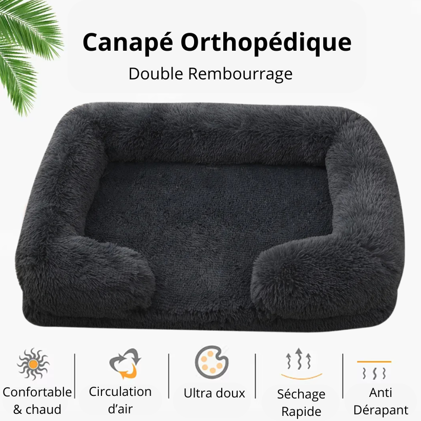 canapé-pour-chien-caractéristique