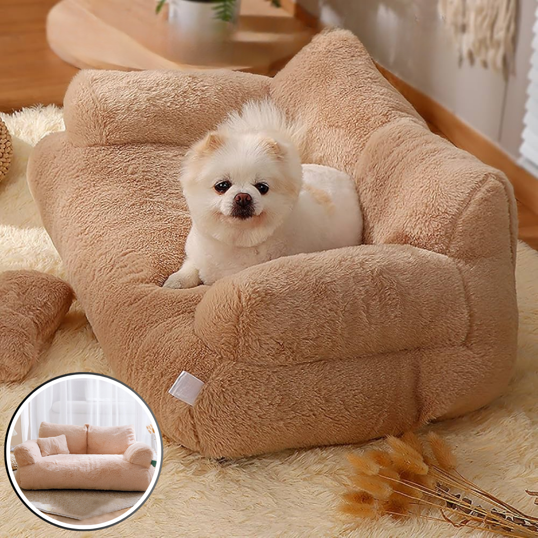 canapé-pour-chien-confortable