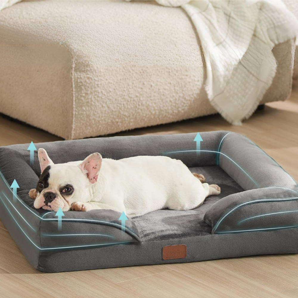 canapé-pour-chien-soulage-les-douleurs-articulaires