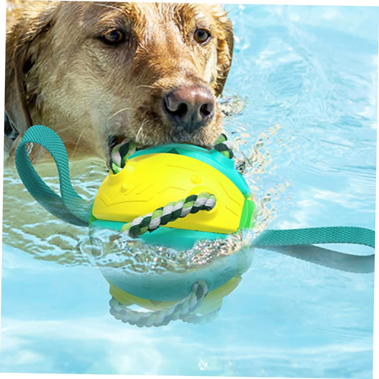 Jouet pour chien |FrisbeBall™