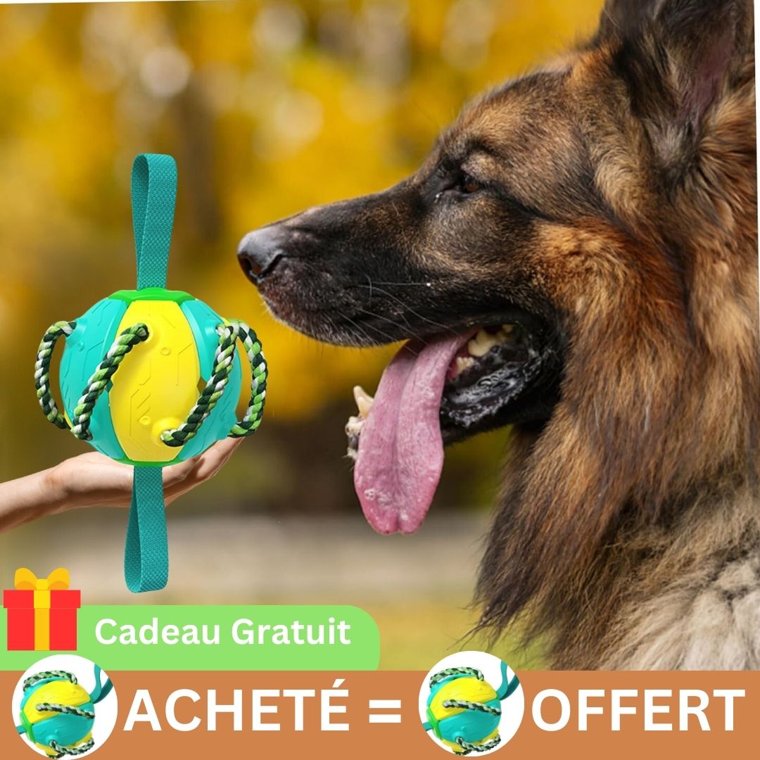 Frisbee chien |FrisbeBall™