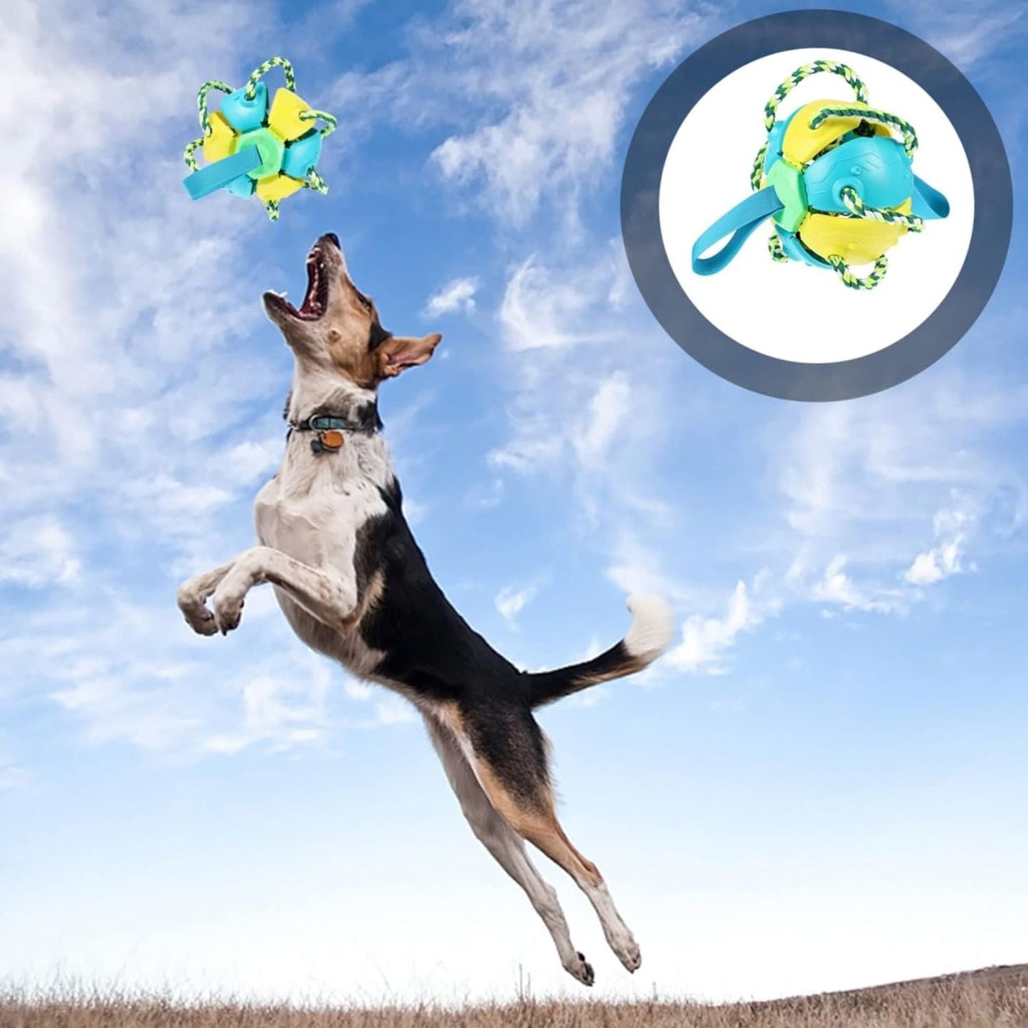 Jouet pour chien |FrisbeBall™