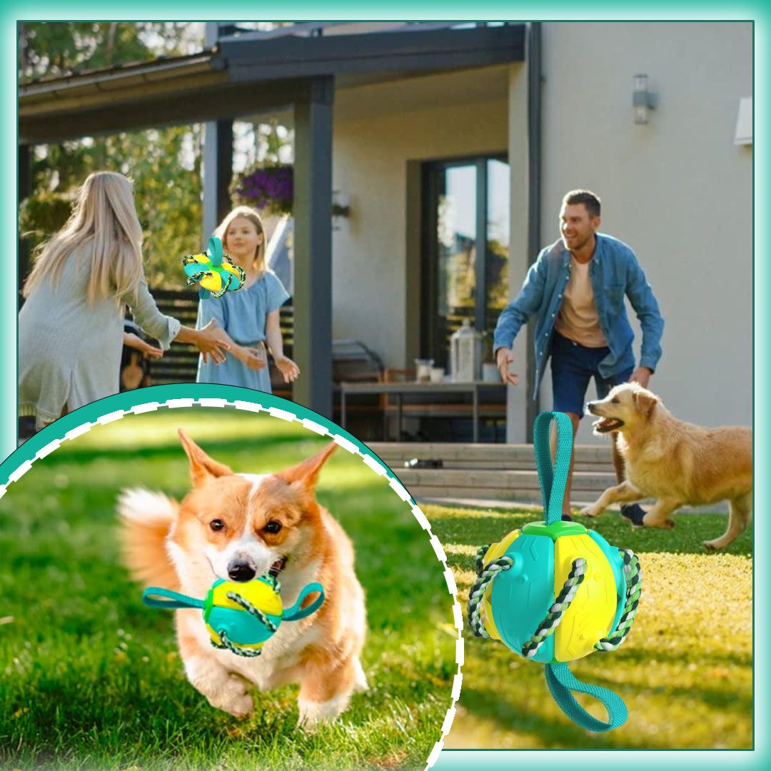 Frisbee chien |FrisbeBall™