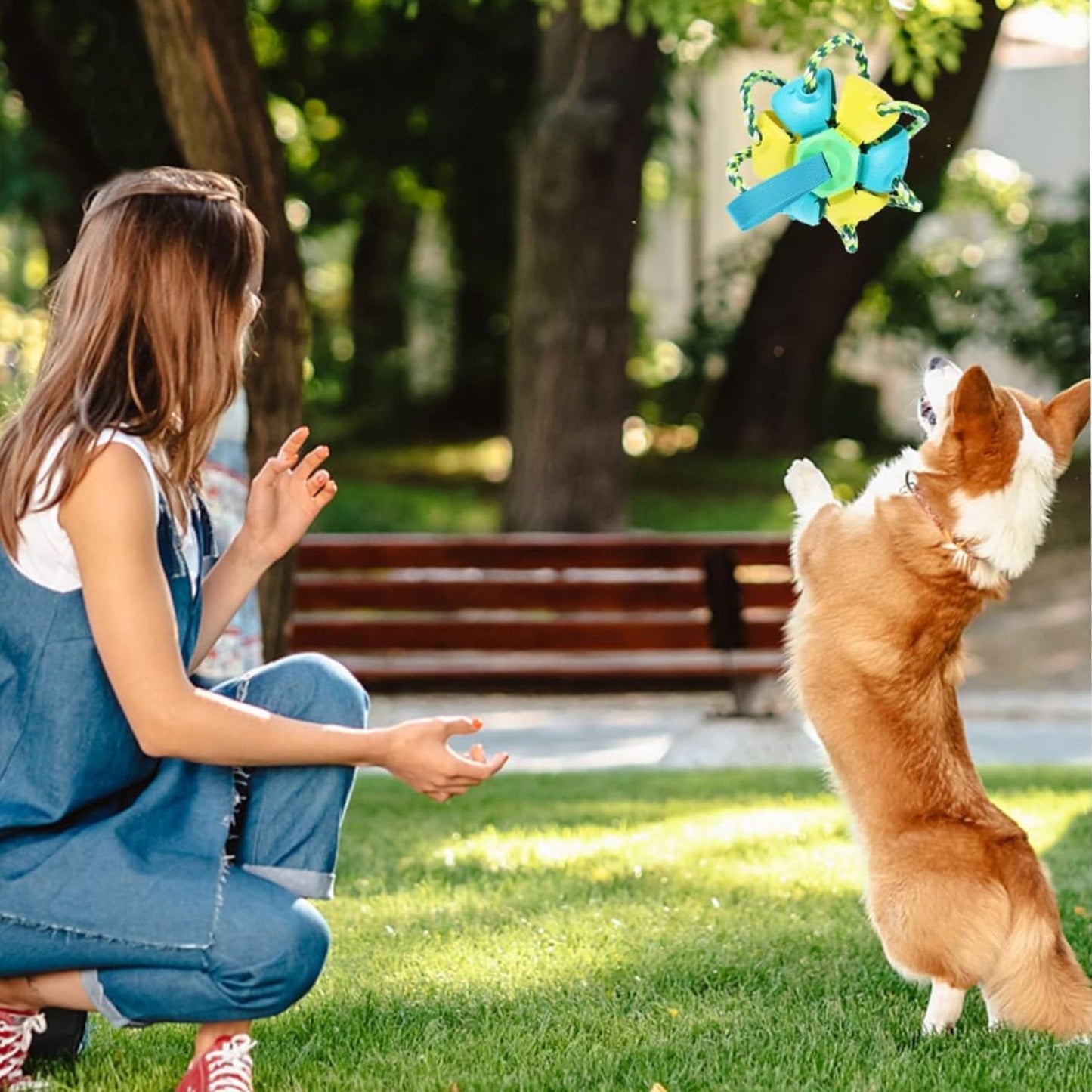 Frisbee chien |FrisbeBall™