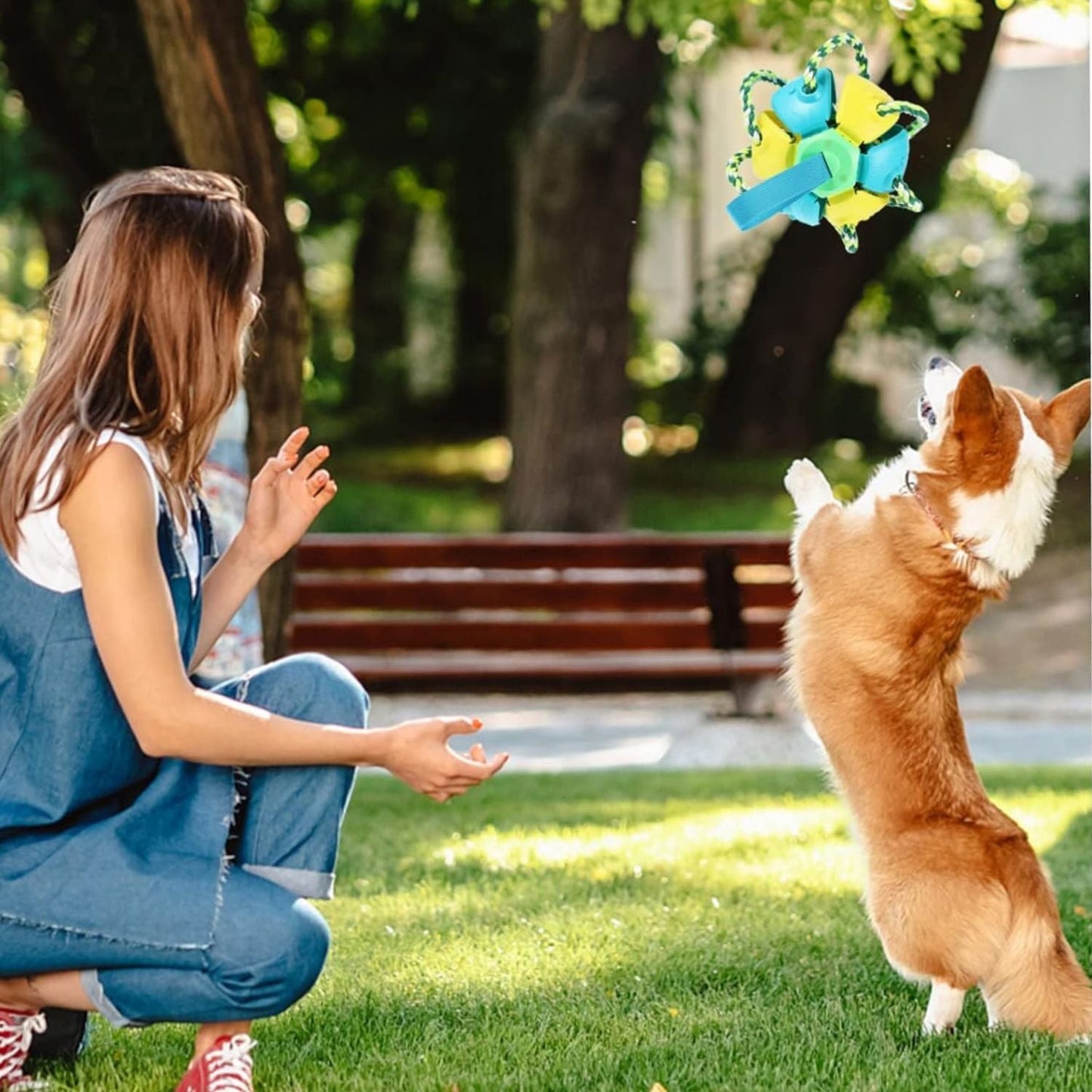 Jouet pour chien |FrisbeBall™