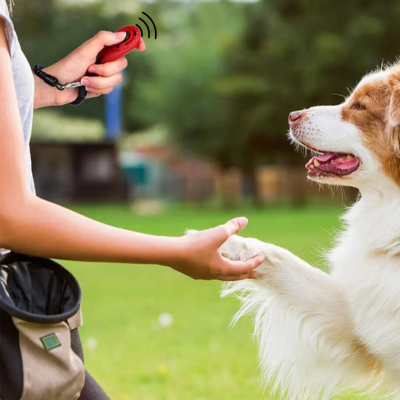 Clicker chien |EasyTraining™