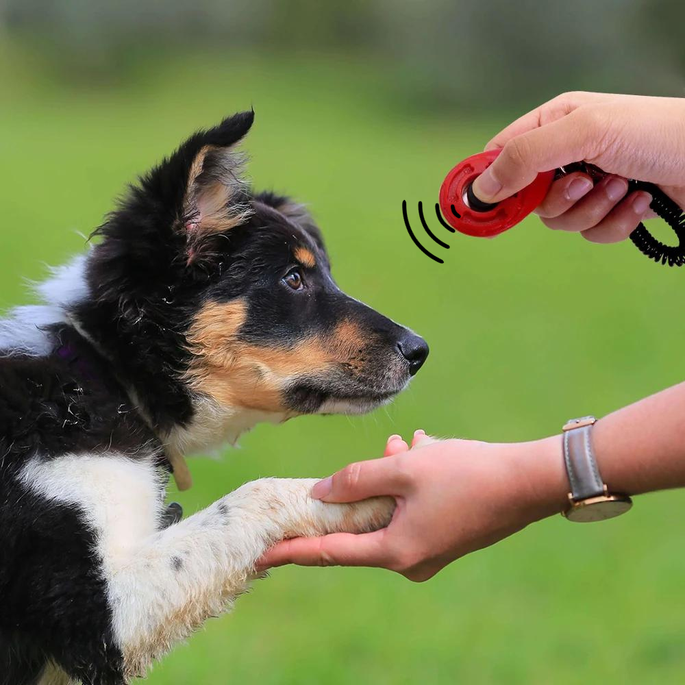 Clicker chien |EasyTraining™