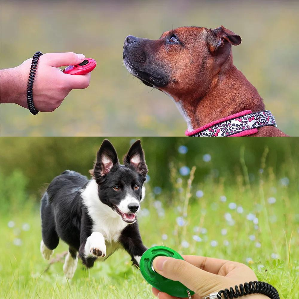 Clicker chien |EasyTraining™