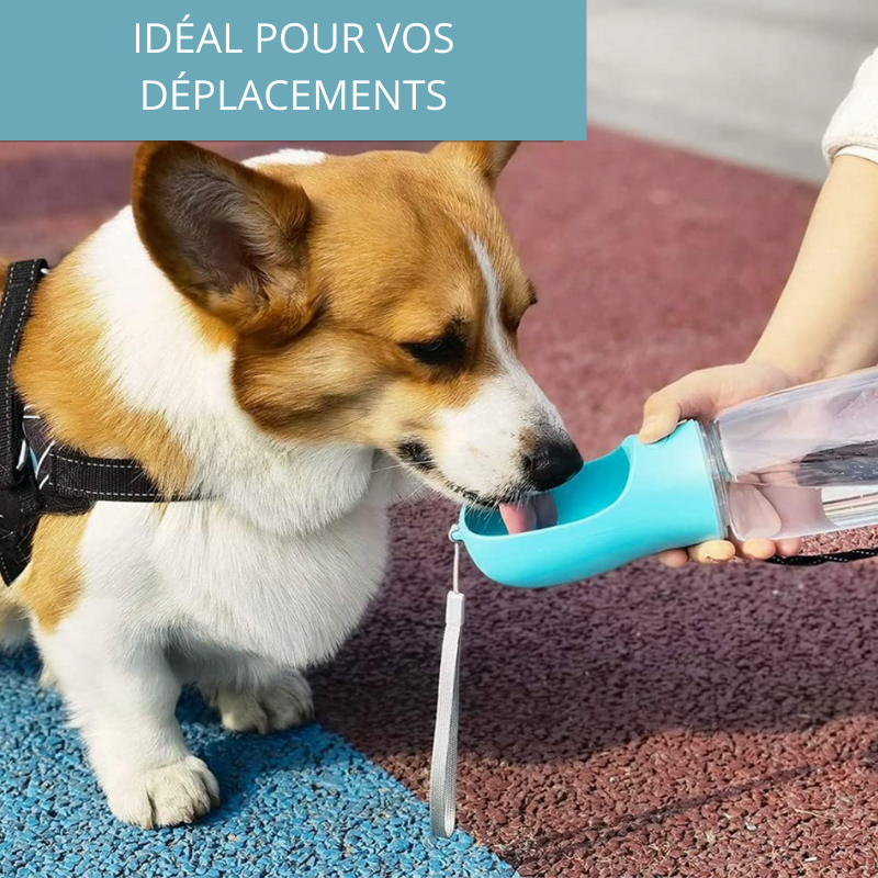 WaterToGo™ | Gourde 2-en-1 pour Chien