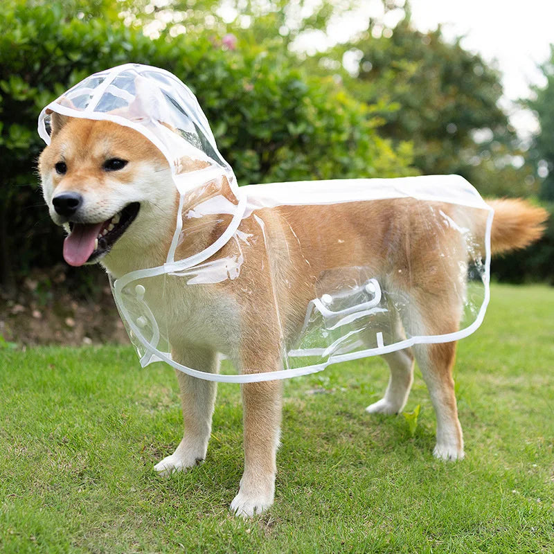 Imperméable chien