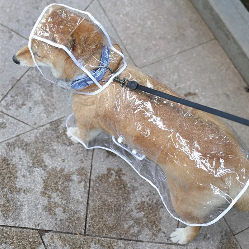 Imperméable chien