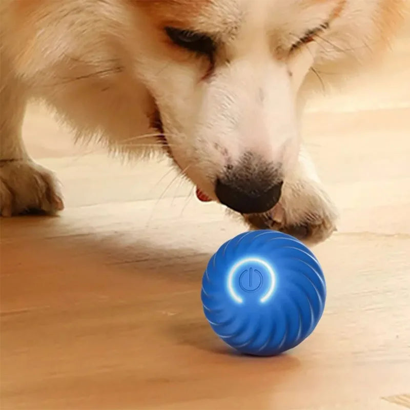 Balle Pour Chien  |SmartBall™