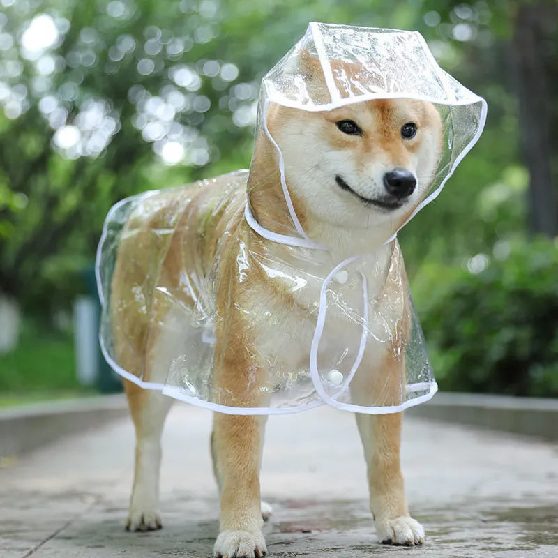 Imperméable chien