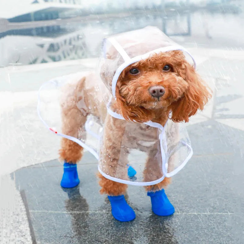 Imperméable chien