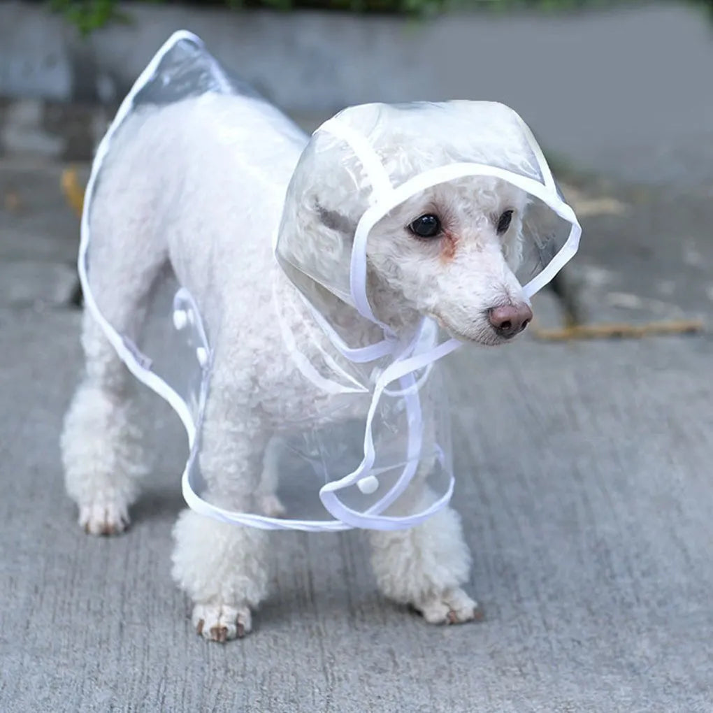 Imperméable chien