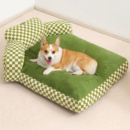 un-beau-corgi-est-allongé-sur-un-canapé-chien-luxueux-et-moelleux-aux-allures-rétro-vintage