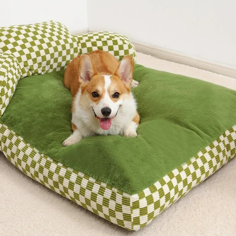 canape-chien-tres-doux-et-reconfortant-comme-un-plaid-sur-lequel-est-couché-un-beau-corgi-qui-adore-ca