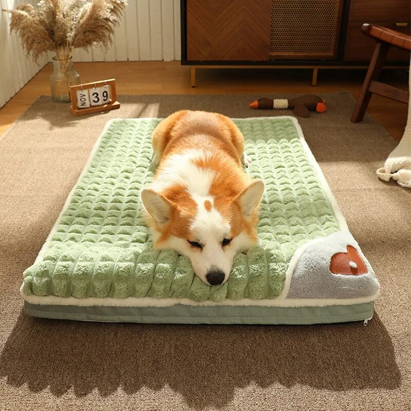 canape-pour-chien-super-confortable