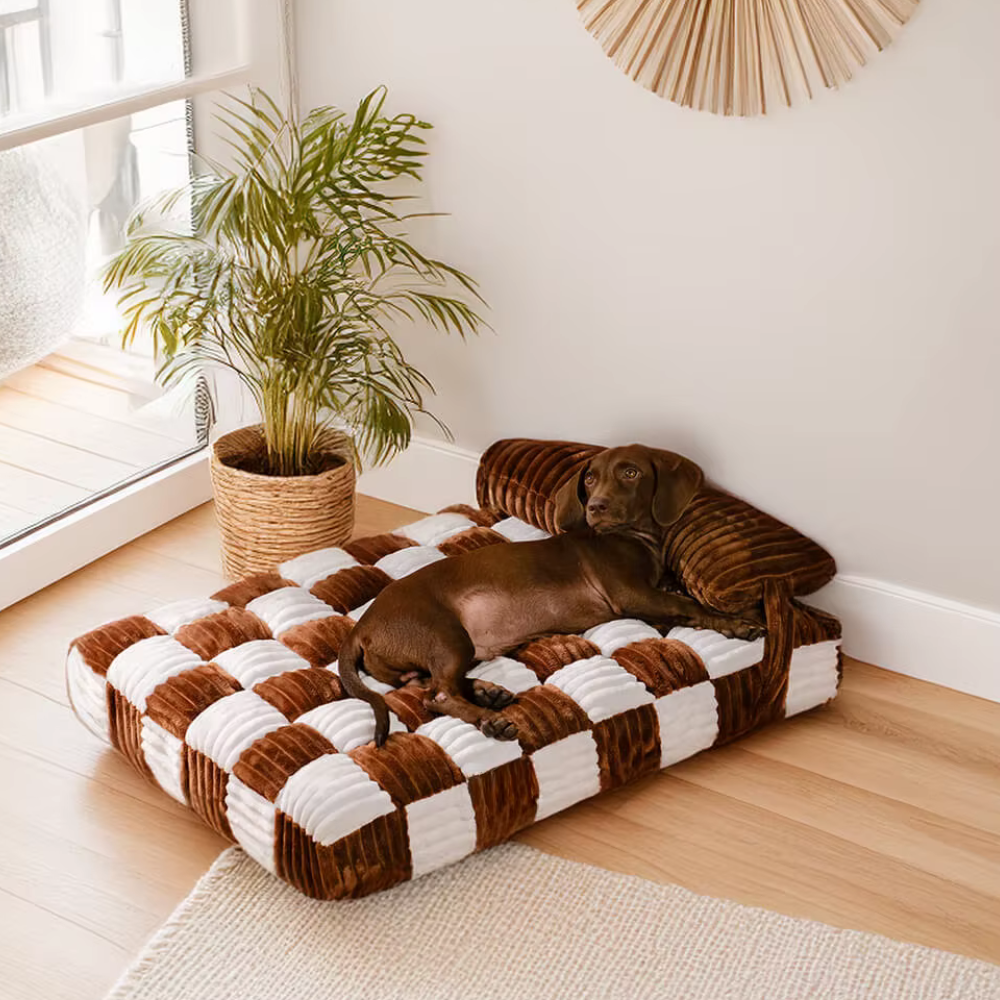 canape-pour-chien-ultra-confortable