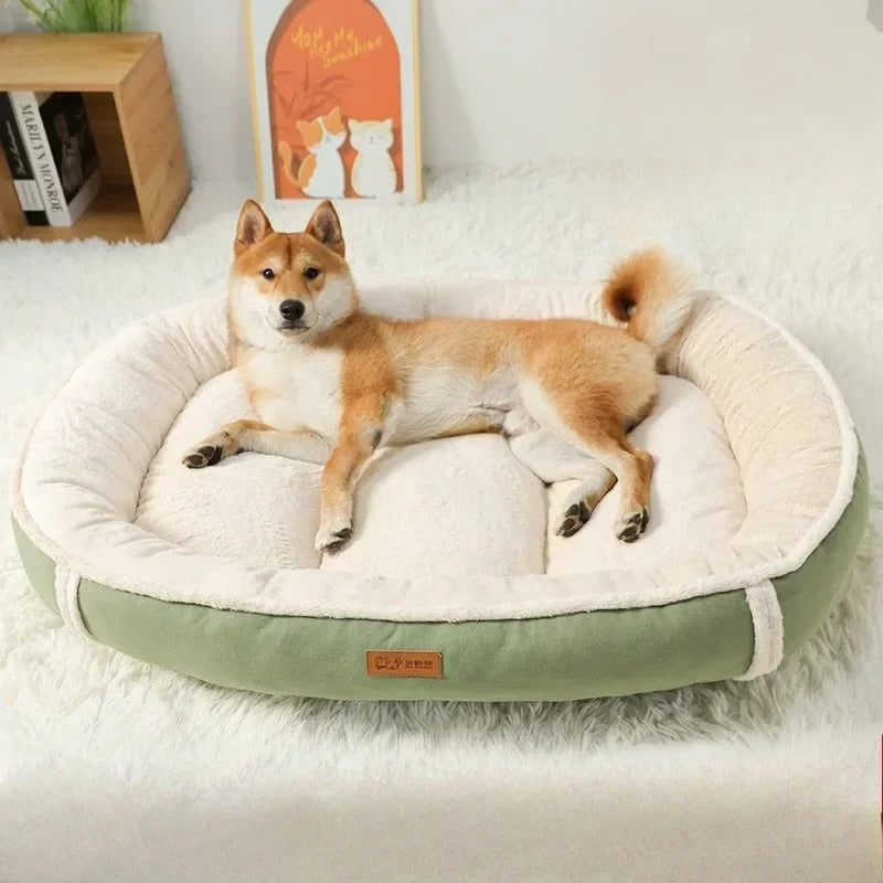 coussin-chien-doux-comme-un-plaid-dans-lequel-un-beau-shiba-se-love