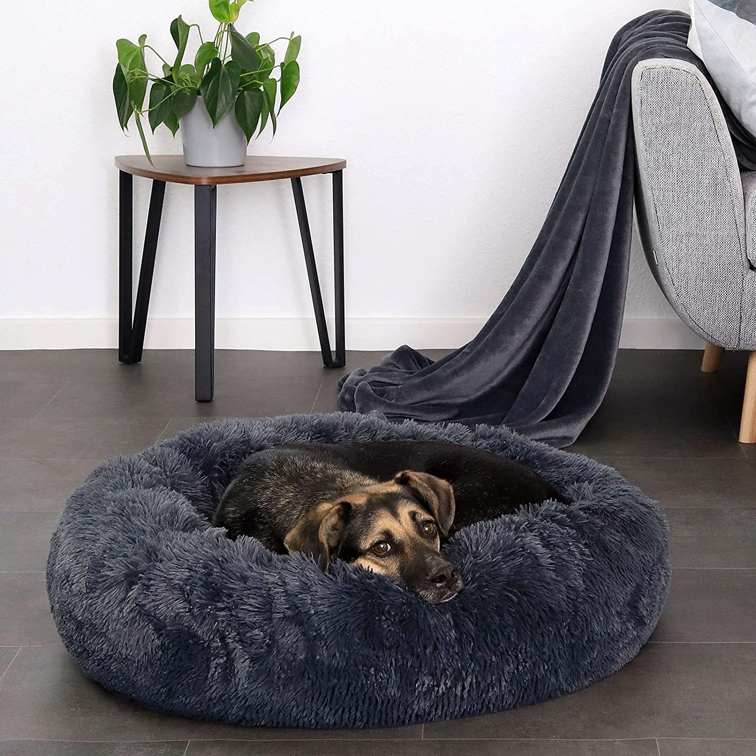 coussin-pour-chien-anti-anxiete