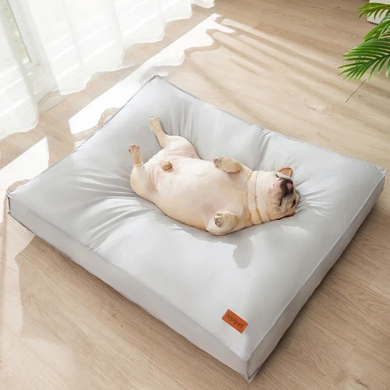 coussin-pour-chien-carre