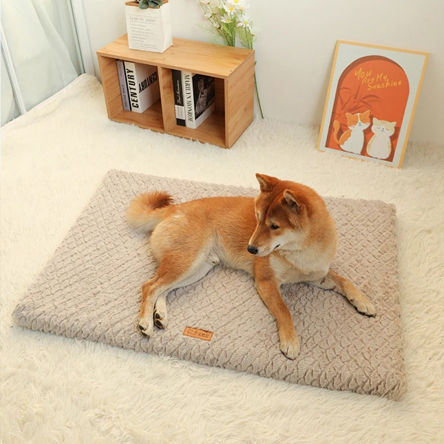 coussin-pour-chien-confortable