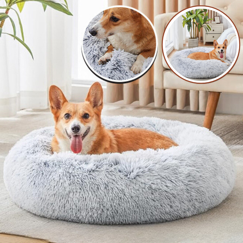 coussin-pour-chien-confortable