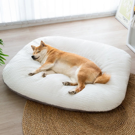 coussin-pour-chien-douceur-extreme