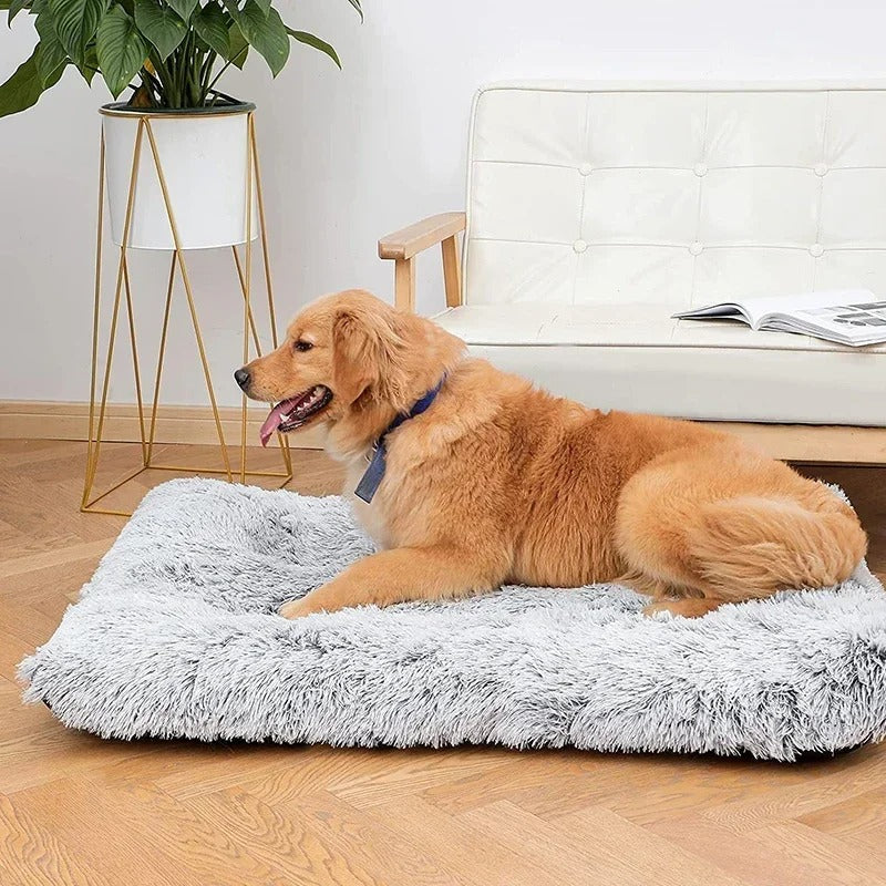 coussin-pour-chien-ultra-doux