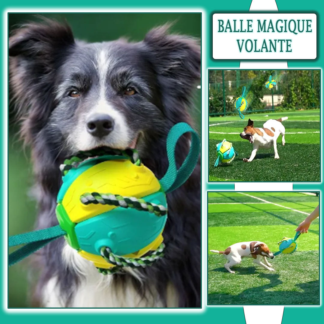 Jouet pour chien |FrisbeBall™