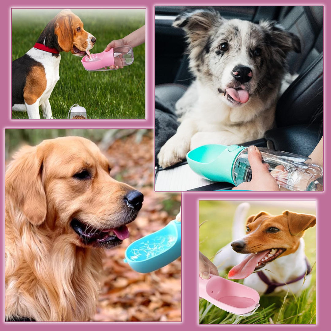 WaterToGo™ | Gourde 2-en-1 pour Chien