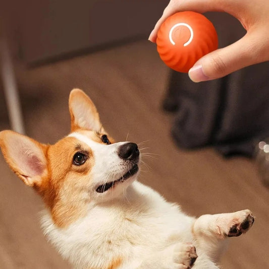 Balle Pour Chien  |SmartBall™