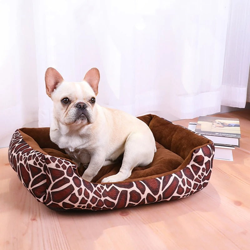 panier-chien-marron-super-doux-en-peluche-avec-un-beau-bouledogue-français-blanc-assis-confortablement-dedans-il-est-à-laise-et-heureux-de-son-nouveau-petit-coin-de-paradis