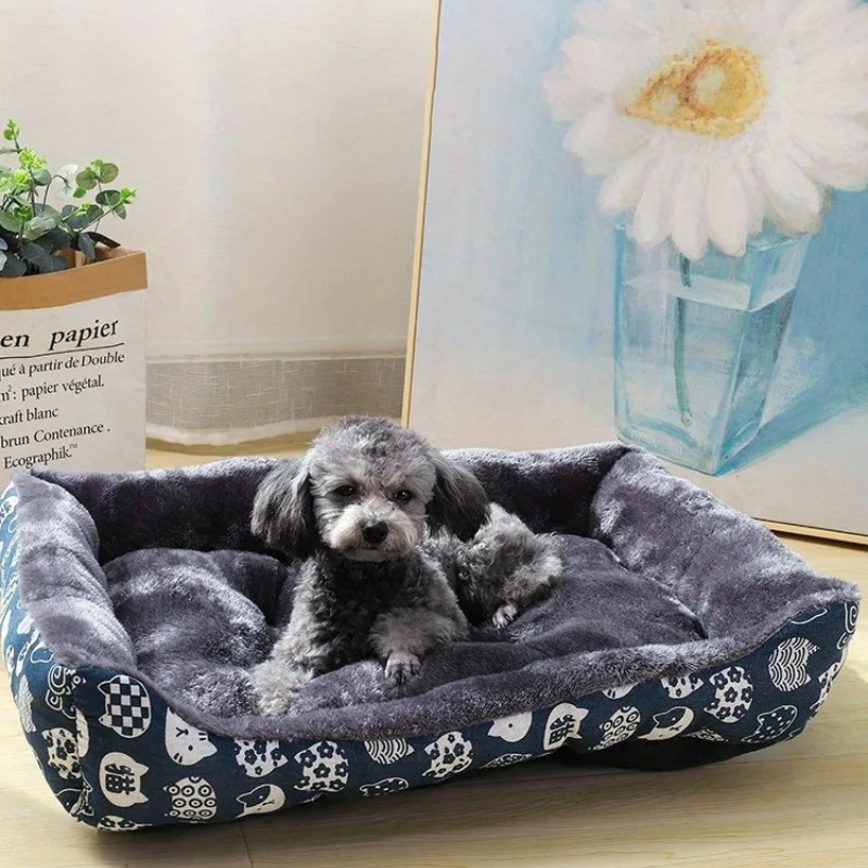 panier-chien-en-velours-super-doux-et-moelleux-gris-et-bleu-fonce-avec-un-beau-loulou-allongé-dedans-me-regardant-avec-amour