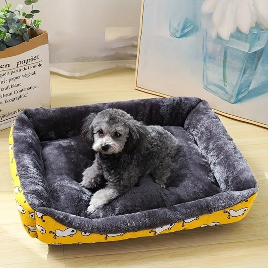 panier-chien-simple-et-tres-doux-pour-chien-en-velours-avec-un-toutou-gris-qui-regarde-avec-des-yeux-de-lamour